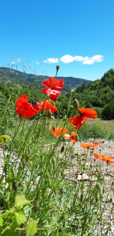 Gites Les Costoliers Châteauneuf-Miravail Zewnętrze zdjęcie
